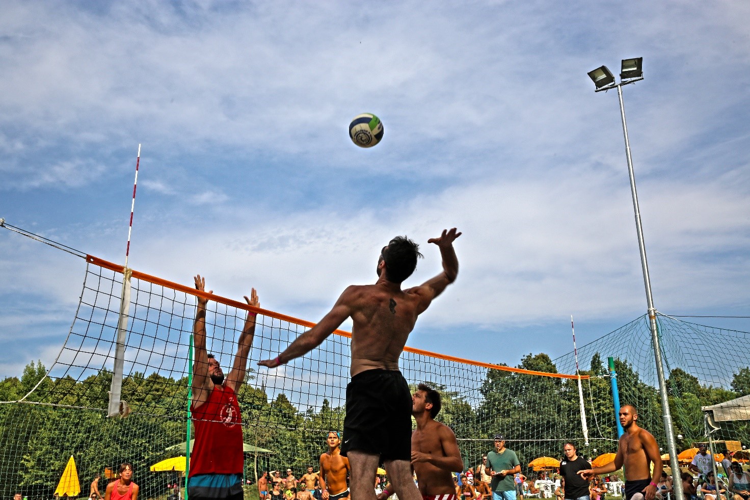 Pallavolo