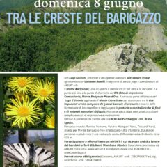 Tra le creste del Barigazzo