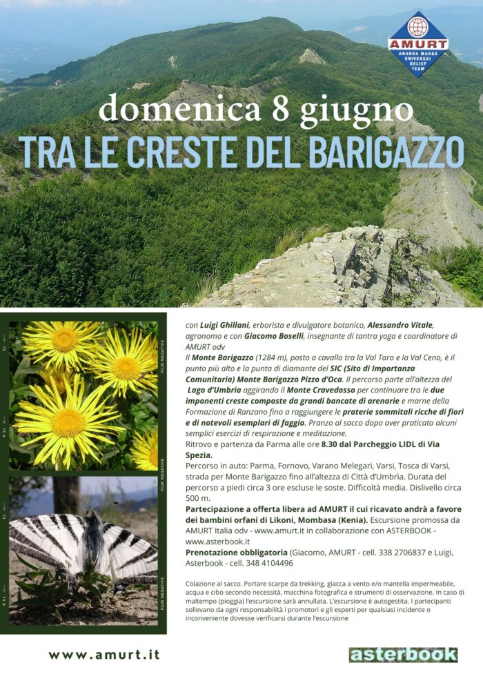Tra le creste del Barigazzo